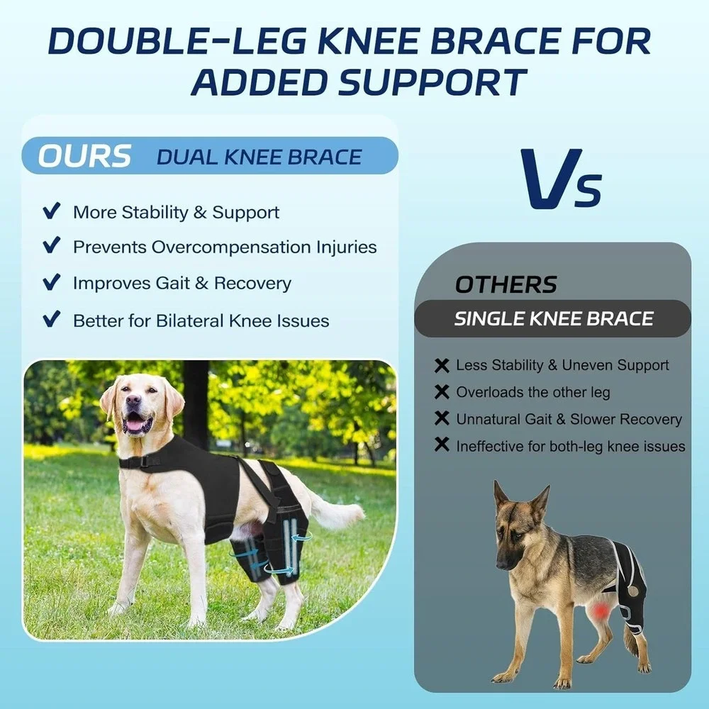 Adjustable Dog Knee Brace for Back Leg Injuries ACL-CCL Support Size XXL